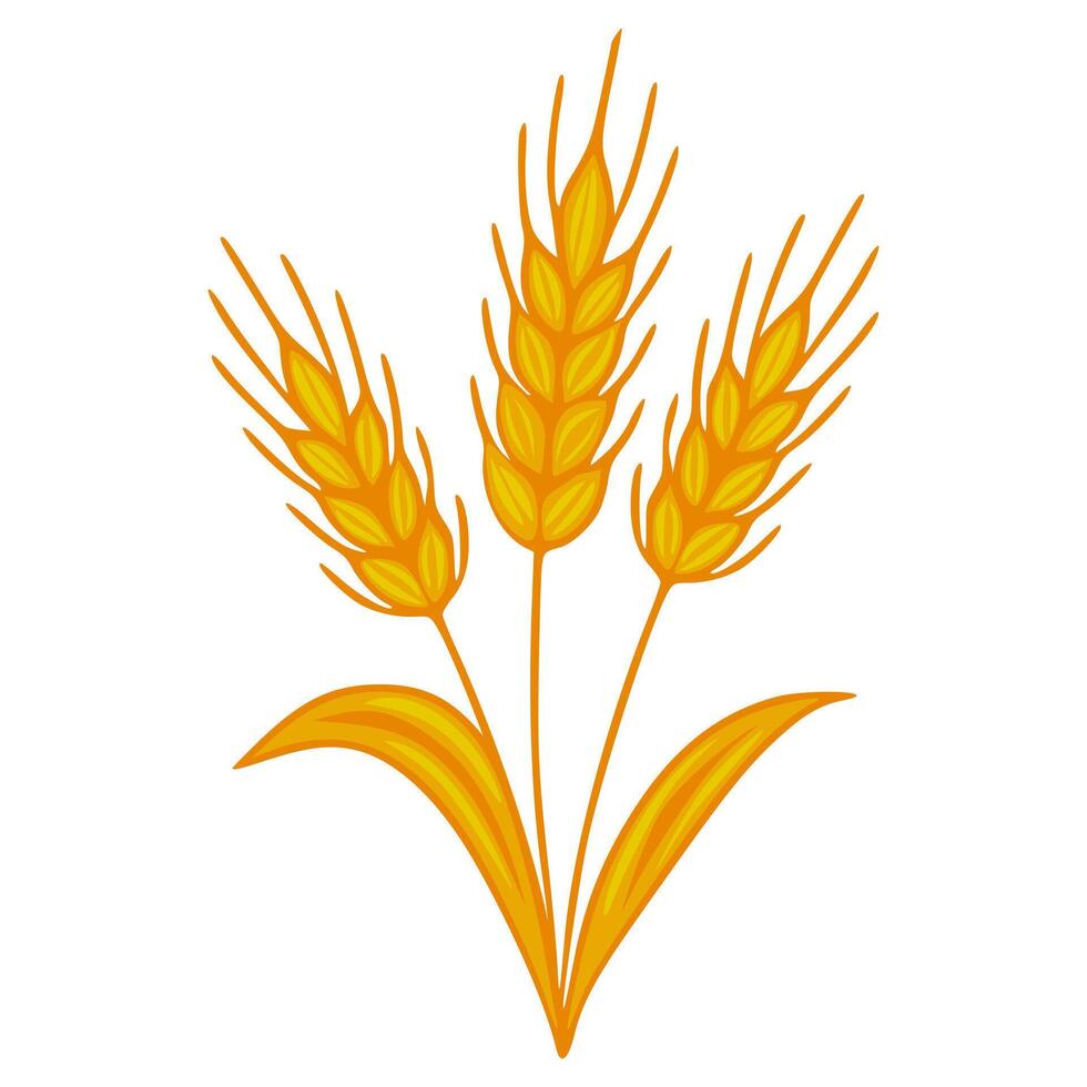 A illustration of three stylized wheat stalks, rendered in warm golden hues, with detailed individual grains and flowing leaves, perfect for harvest themes or agricultural designs. vector