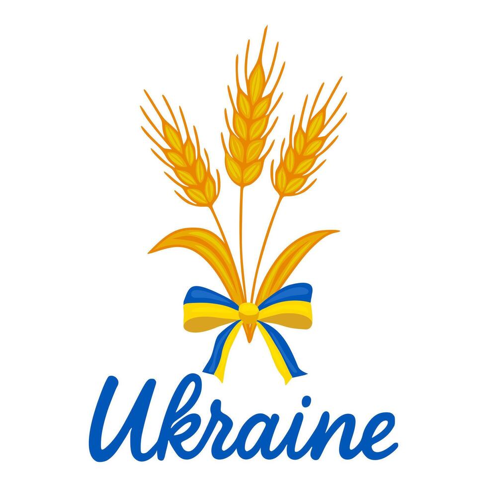 A charming illustration featuring three golden wheat stalks tied with a blue and yellow ribbon, symbolizing Ukraine, set against a clean white background. vector
