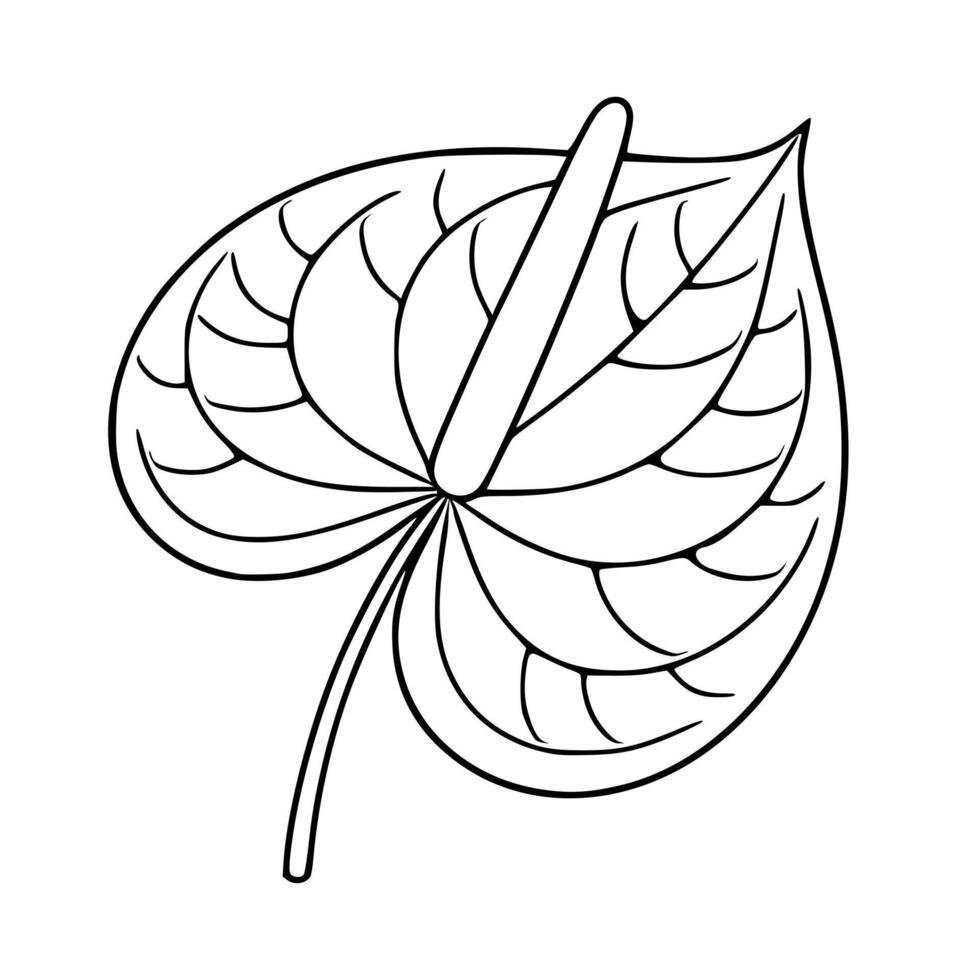 Elegant illustration of a single Anthurium flower leaf, depicted in a minimalist line art style with intricate vein details, suitable for design projects needing a touch of botanical sophist... vector