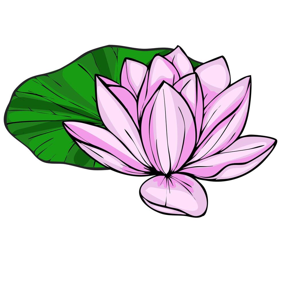 Delicate illustration of a pink lotus flower resting gracefully on a vibrant green leaf, capturing the serene beauty of aquatic flora. vector