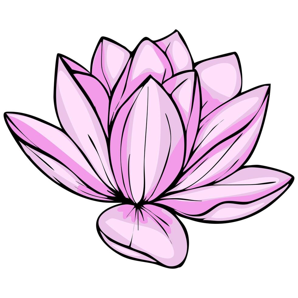 Delicate illustration of a single pink lotus flower, showcasing its intricate petal structure with bold outlines and soft color gradients, perfect for feminine designs. vector