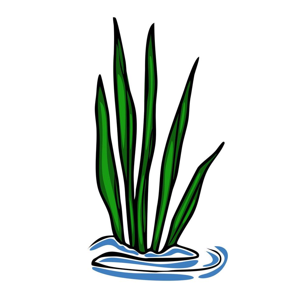 This illustration depicts a stylized cluster of vibrant green aquatic plants emerging from a simplified blue water surface, offering a unique and minimalist design. vector