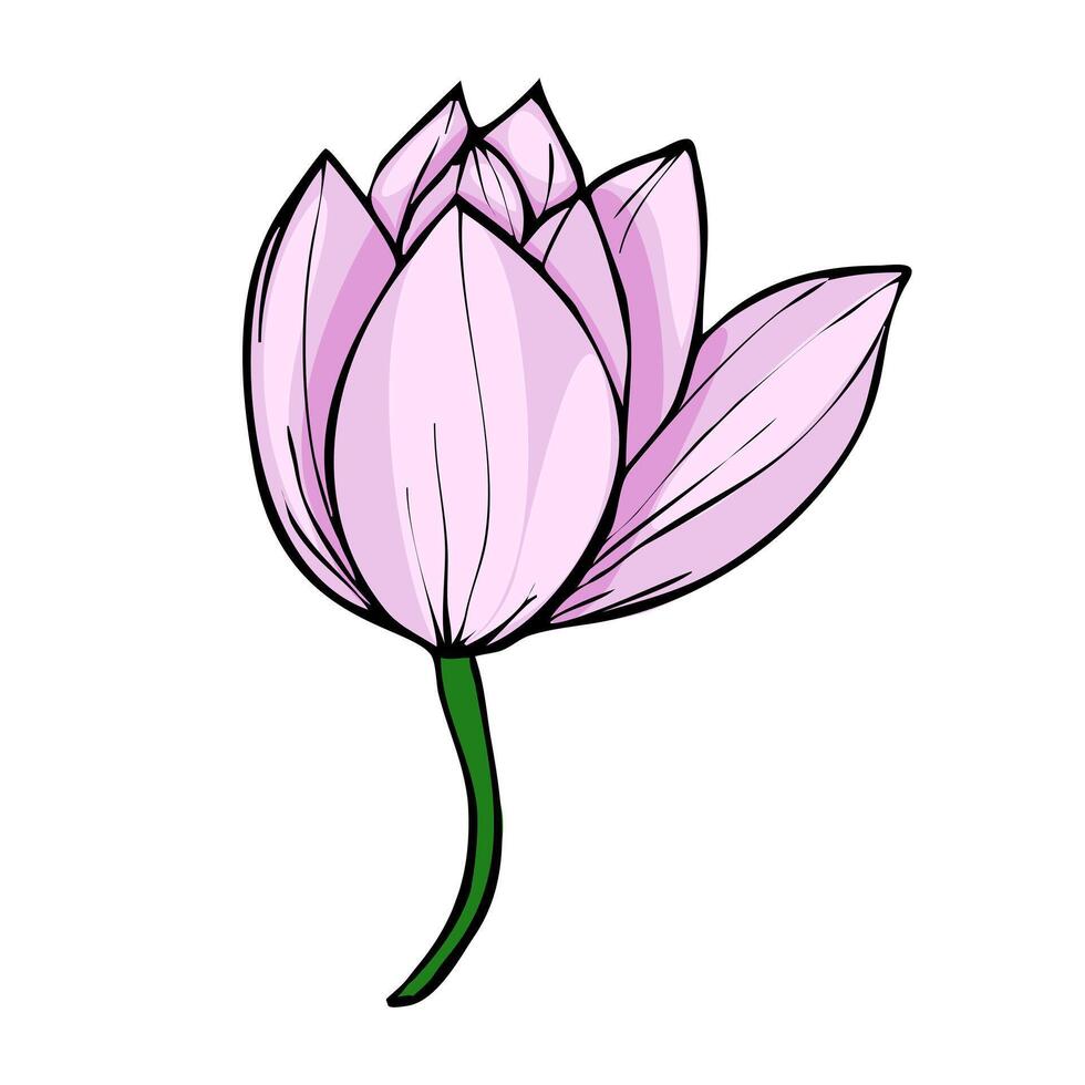 Elegant illustration of a single light pink magnolia flower with a dark green stem, showcasing a stylized hand-drawn design with bold outlines and subtle shading. vector