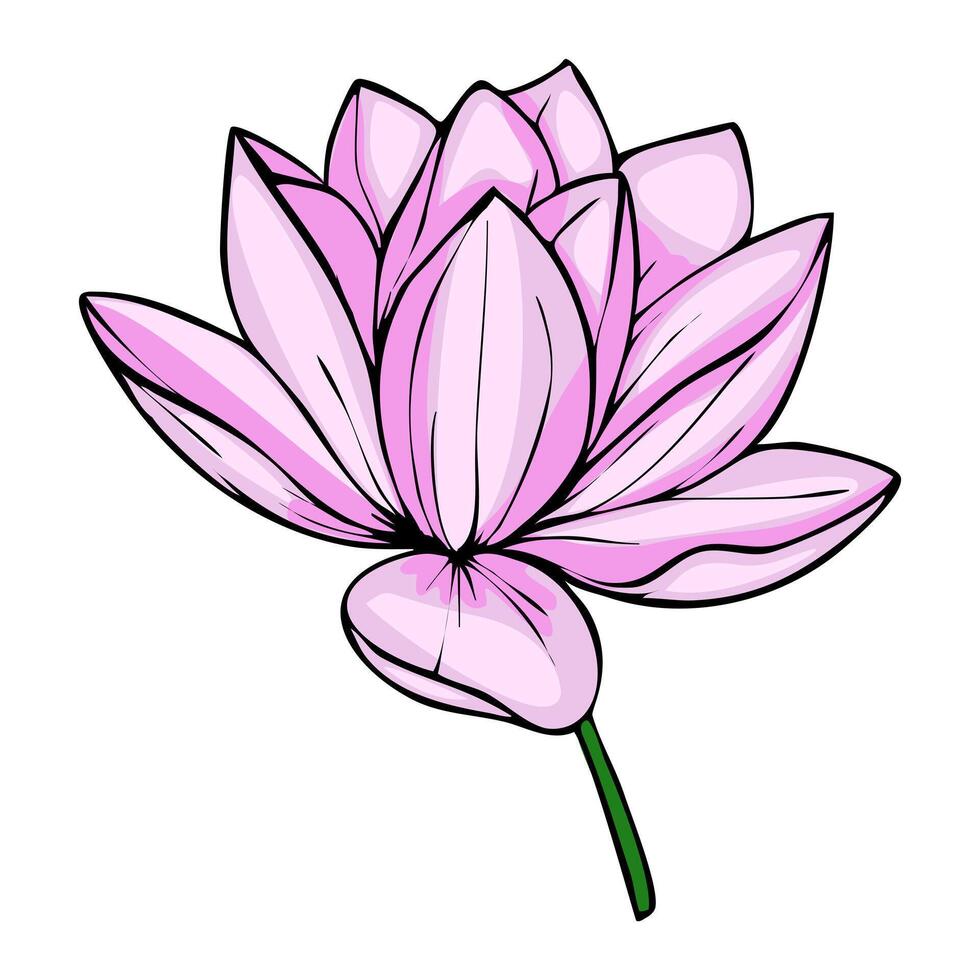 This illustration showcases a single, stylized pink lotus flower with bold outlines and a gradient fill, presented against a clean white background, ideal for design projects seeking a touch vector