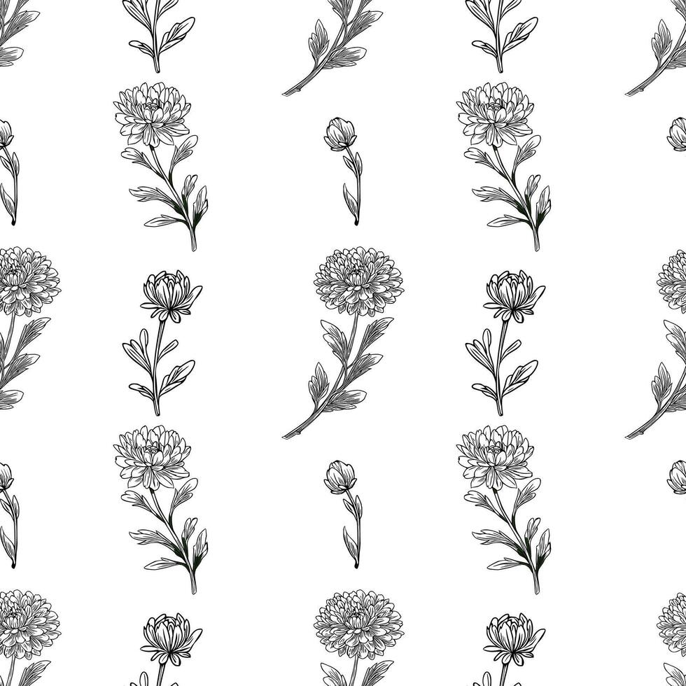 Elegant seamless pattern with hand-drawn outline chrysanthemum flowers and leaves, featuring detailed botanical illustrations in a repeating design ideal for textile, wallpaper, or surface design... vector