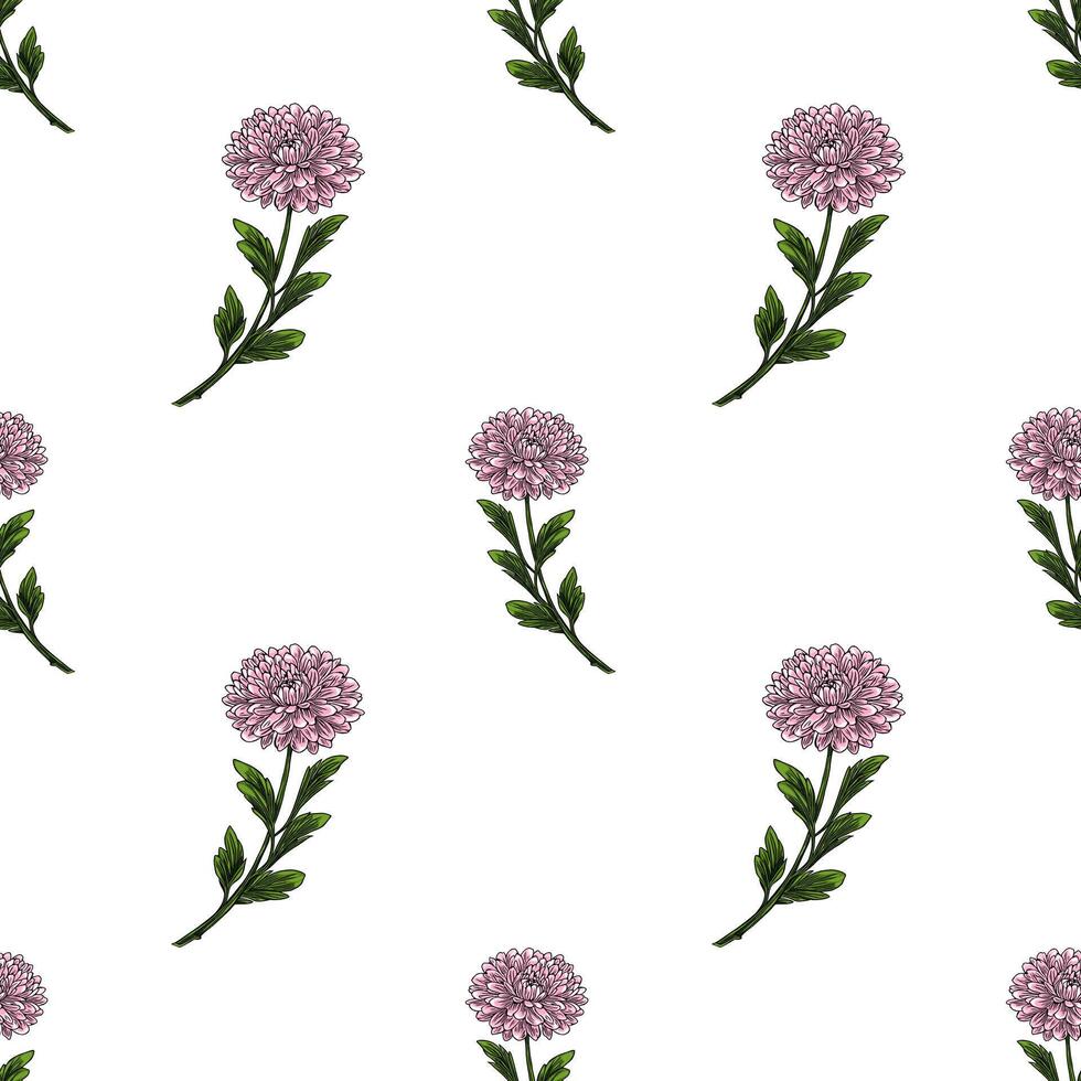 Seamless pattern with delicate pink chrysanthemum flowers and green leaves on a white background, creating a charming and elegant floral design. vector