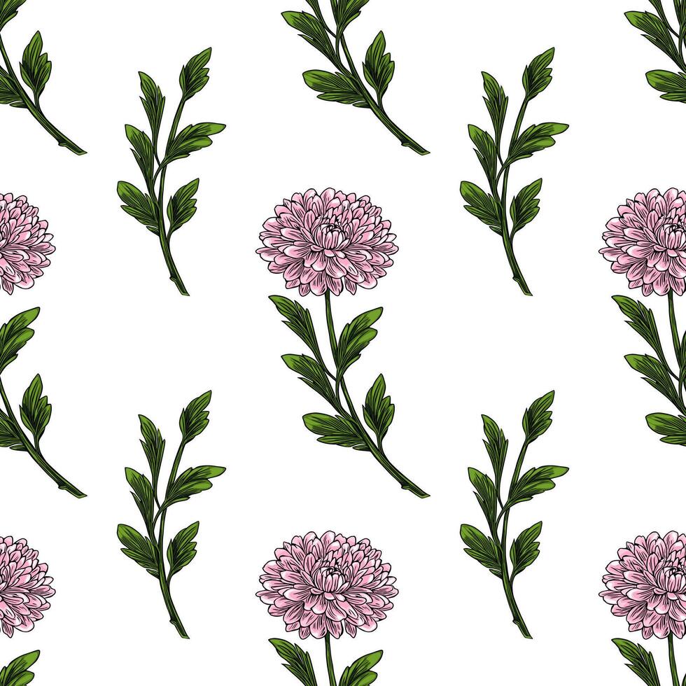 Seamless pattern of delicate pink chrysanthemum flowers and green leaves, hand-drawn in a vintage botanical style, perfect for textile prints or wallpaper designs. vector