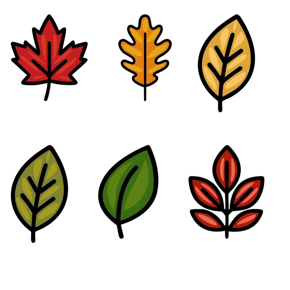 Collection of six diverse autumn leaves maple, oak, and other unique leaf shapes in bold colors. vector