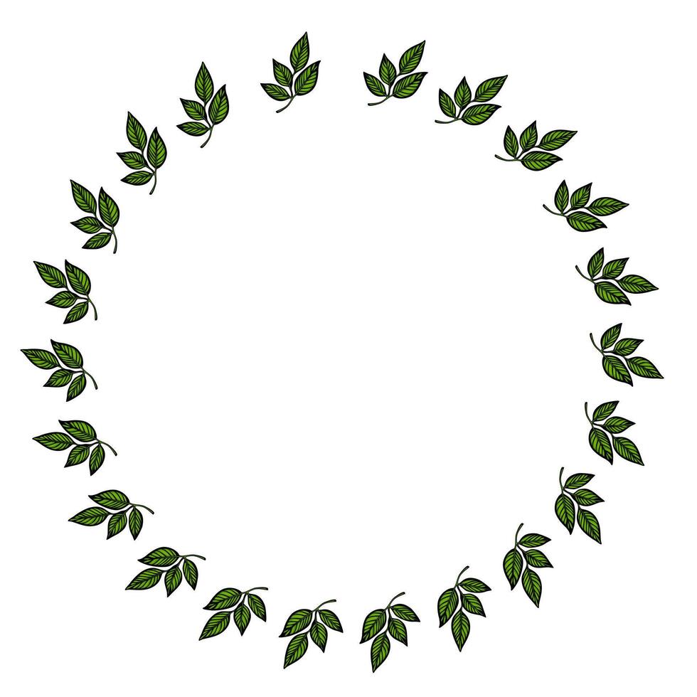 A circular arrangement of green leaves on a white background, creating a natural frame or border. vector
