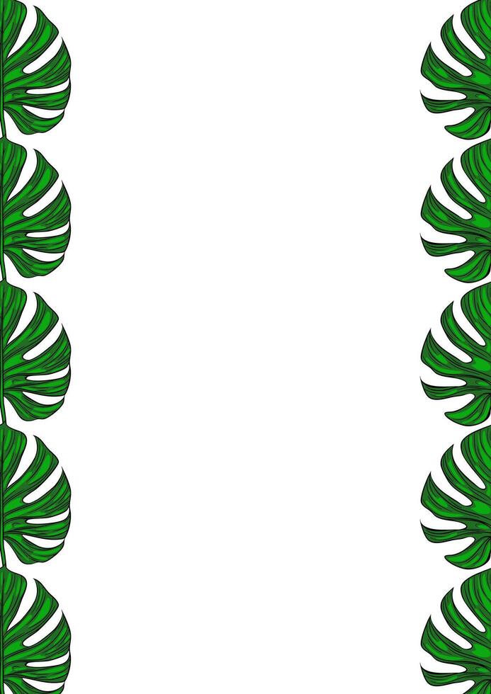 A vertical design featuring large green monstera leaves on both sides, creating a frame effect against a white background. vector