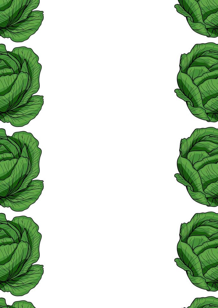 A decorative border featuring illustrated green cabbages on a white background, creating a fresh and vibrant frame. vector