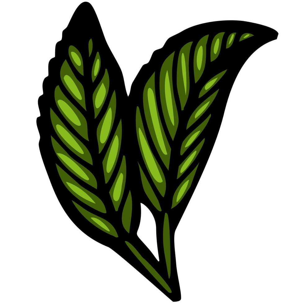 A stylized illustration of two green leaves with detailed veins, set against a white background. The leaves are vibrant and glossy, showcasing a natural look. vector