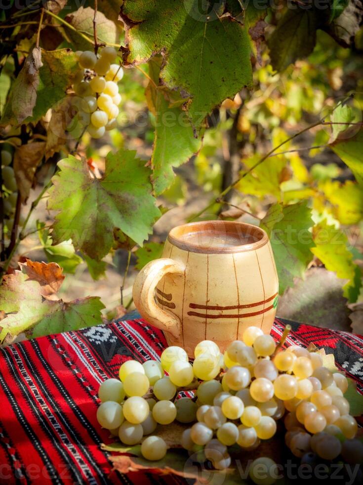 A table with a cup of coffee and grapes photo