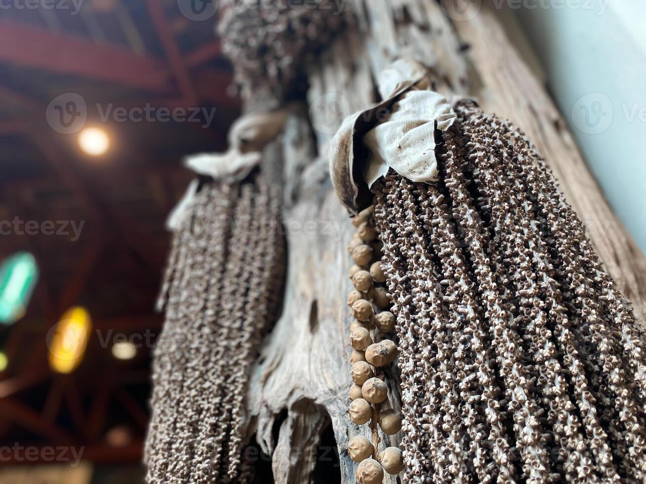 A bunch of brown and white beads hanging from a tree photo