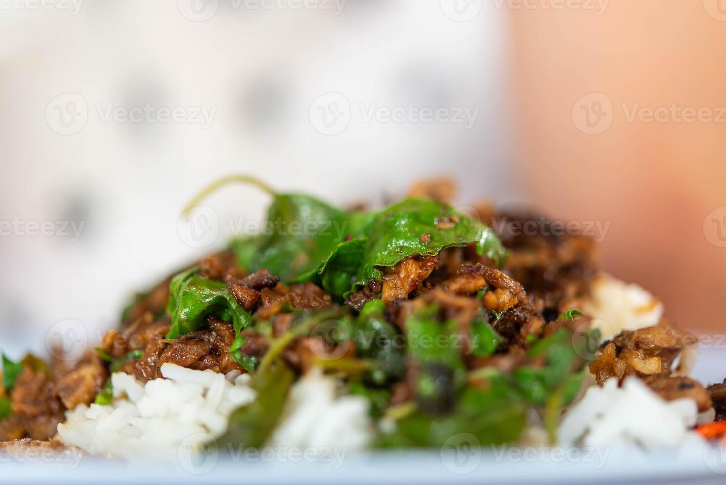 A plate of food with rice and meat on it photo