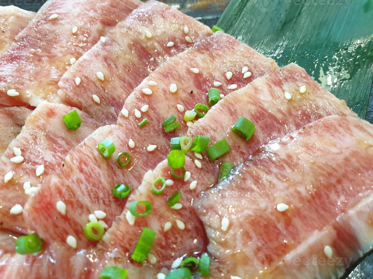 A plate of meat with green onions on it photo
