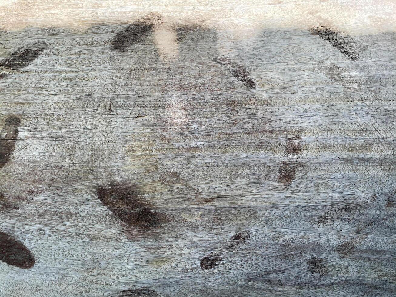 A large tree trunk with a large number of footprints photo