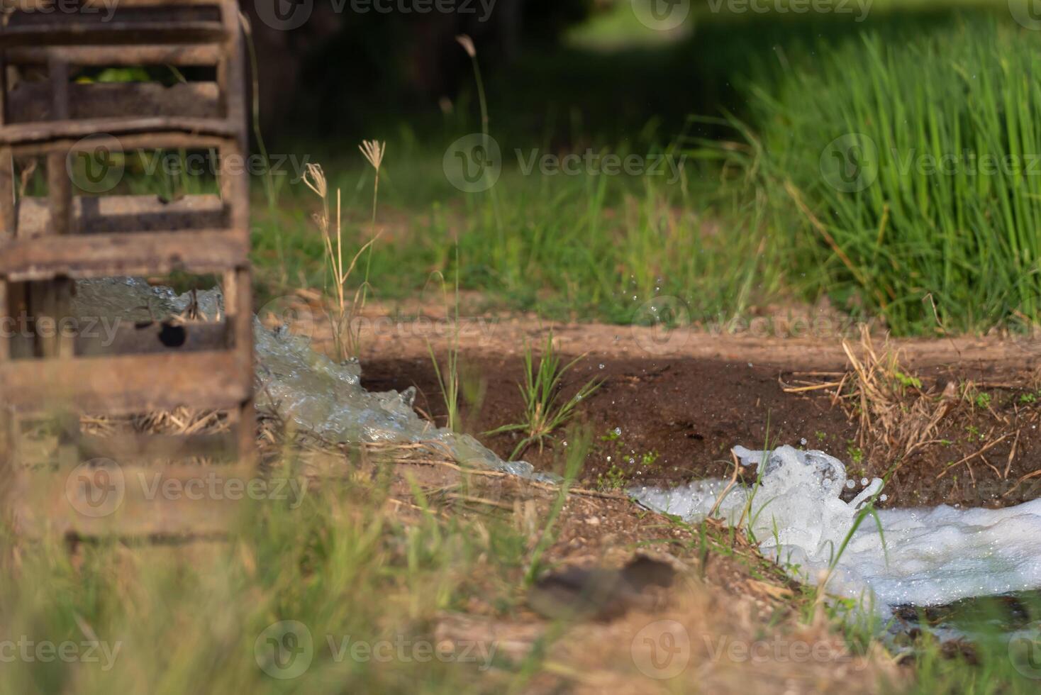 A cow is standing next to a stream photo