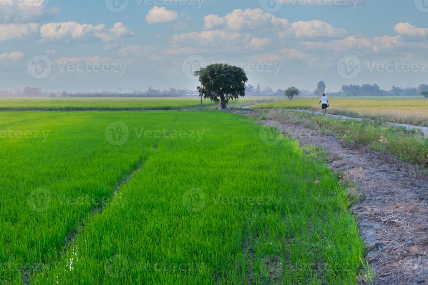 A man riding a bike in a field photo