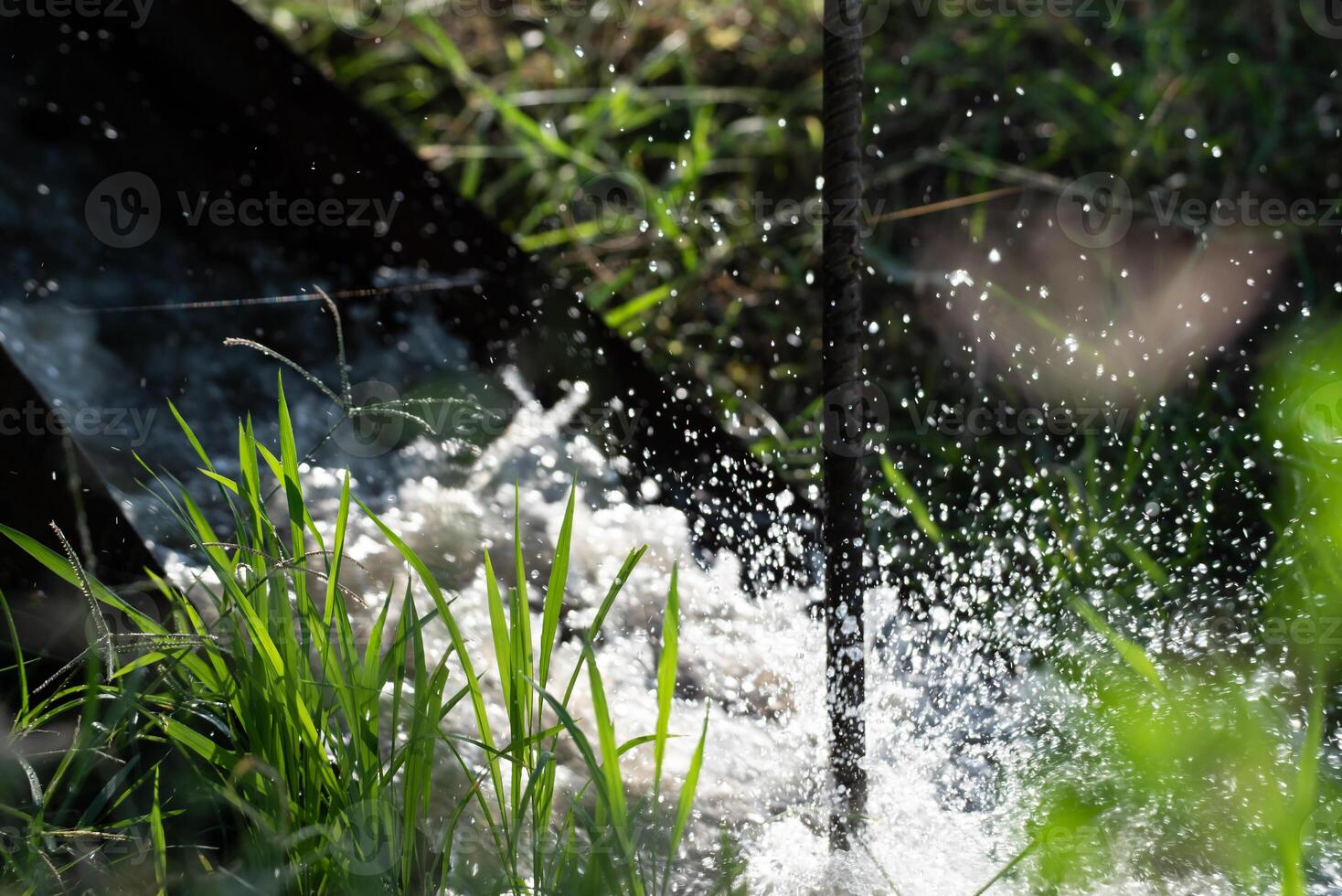 A pipe is spraying water into the grass photo