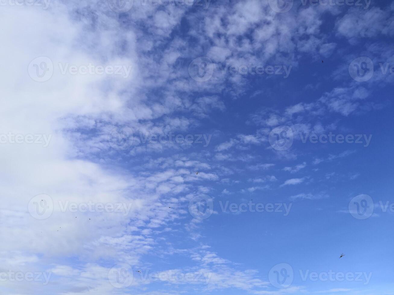 A man is flying a kite on a beach photo