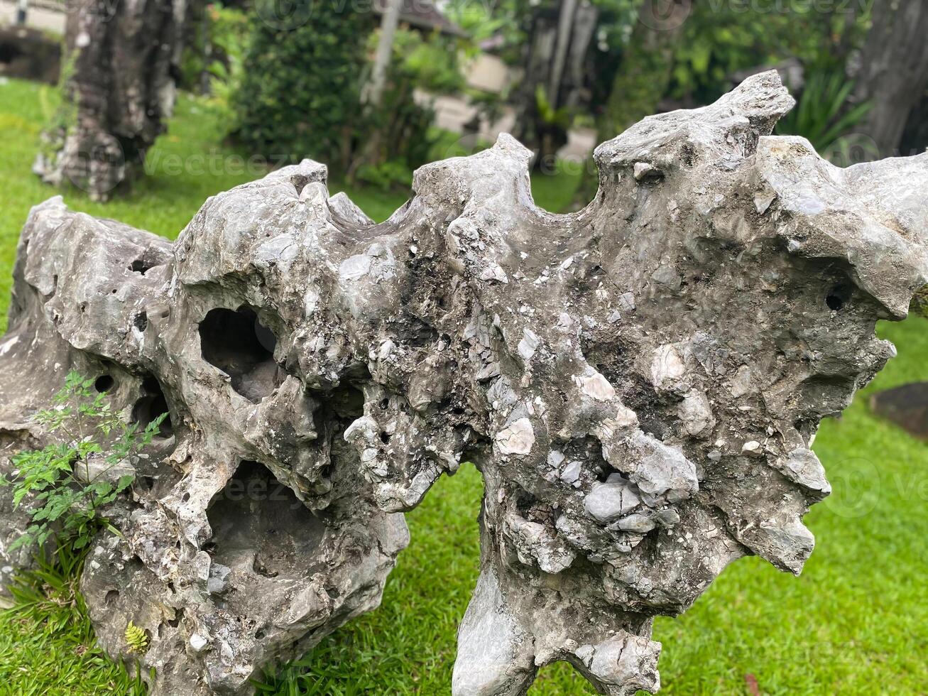 A large rock with holes in it photo