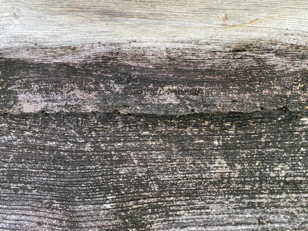 A close up of a wood plank with a crack photo