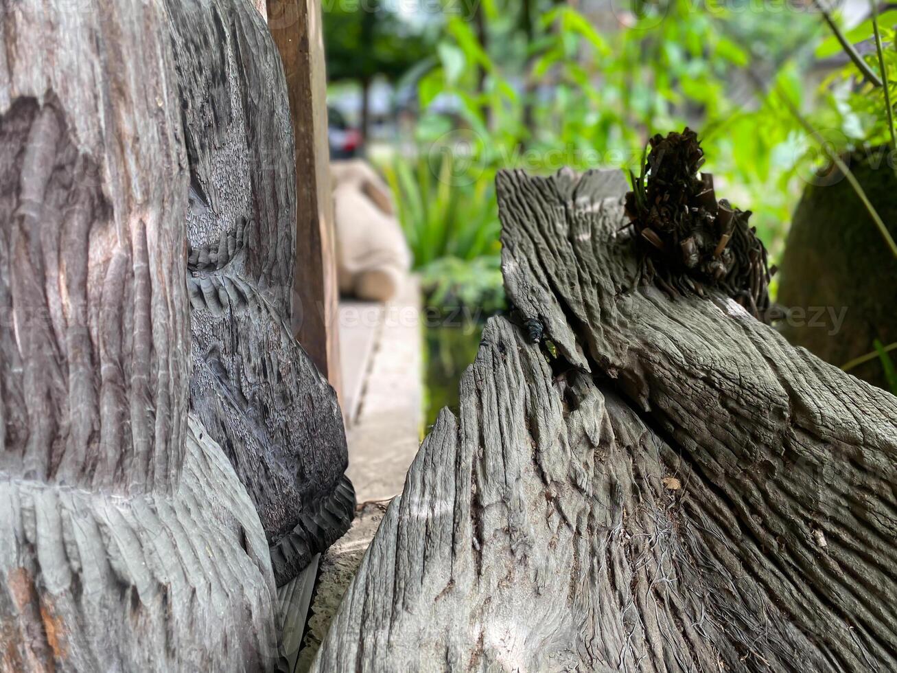 A wooden sculpture of a bear photo