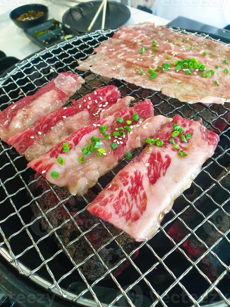 A grill with meat on it and some green onions photo