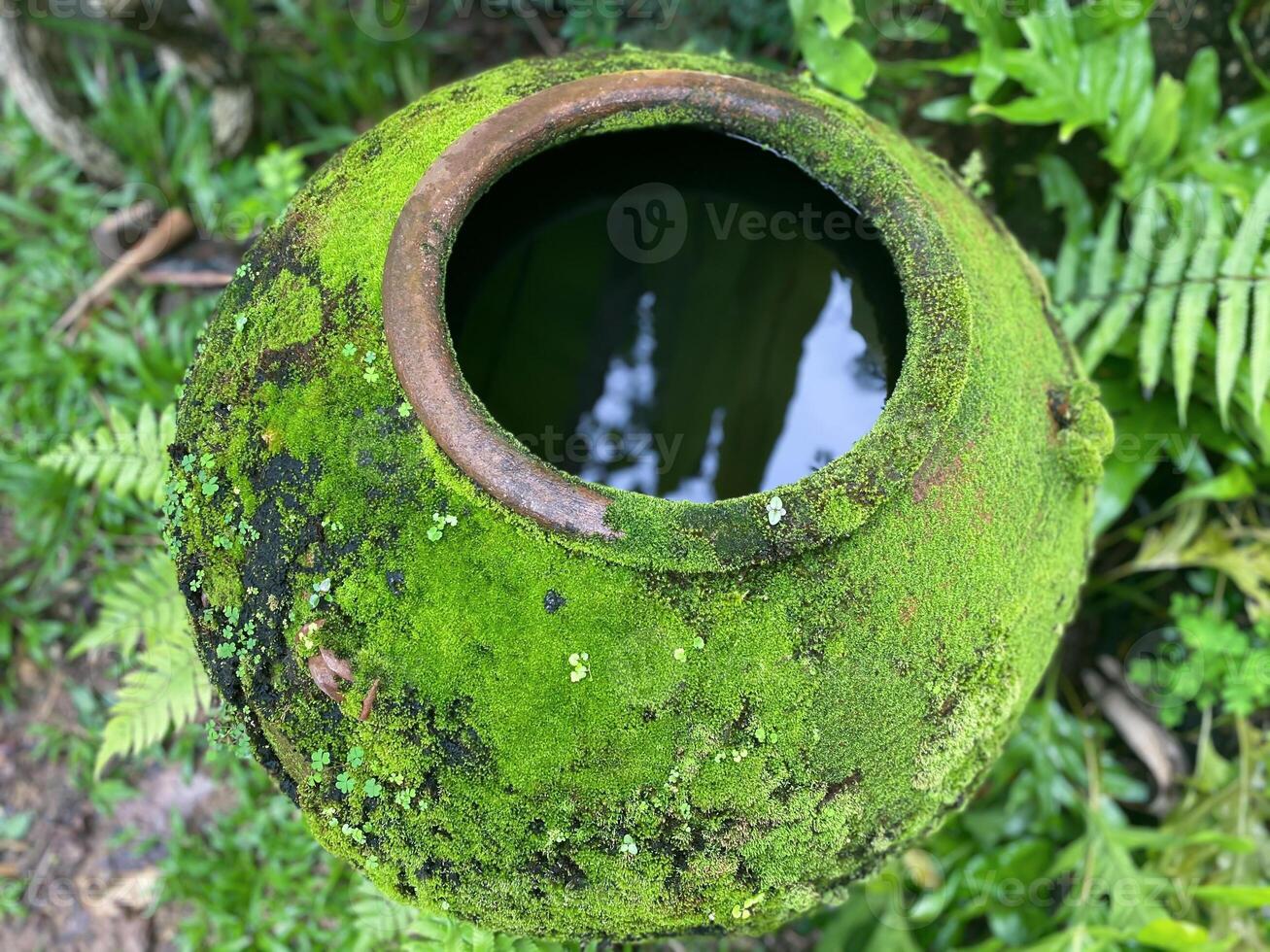 A moss covered vase with a small hole in it photo