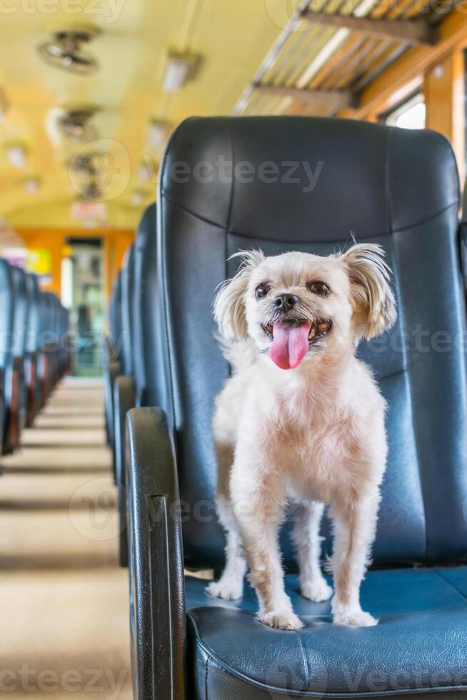 A dog sitting on a chair in a train photo