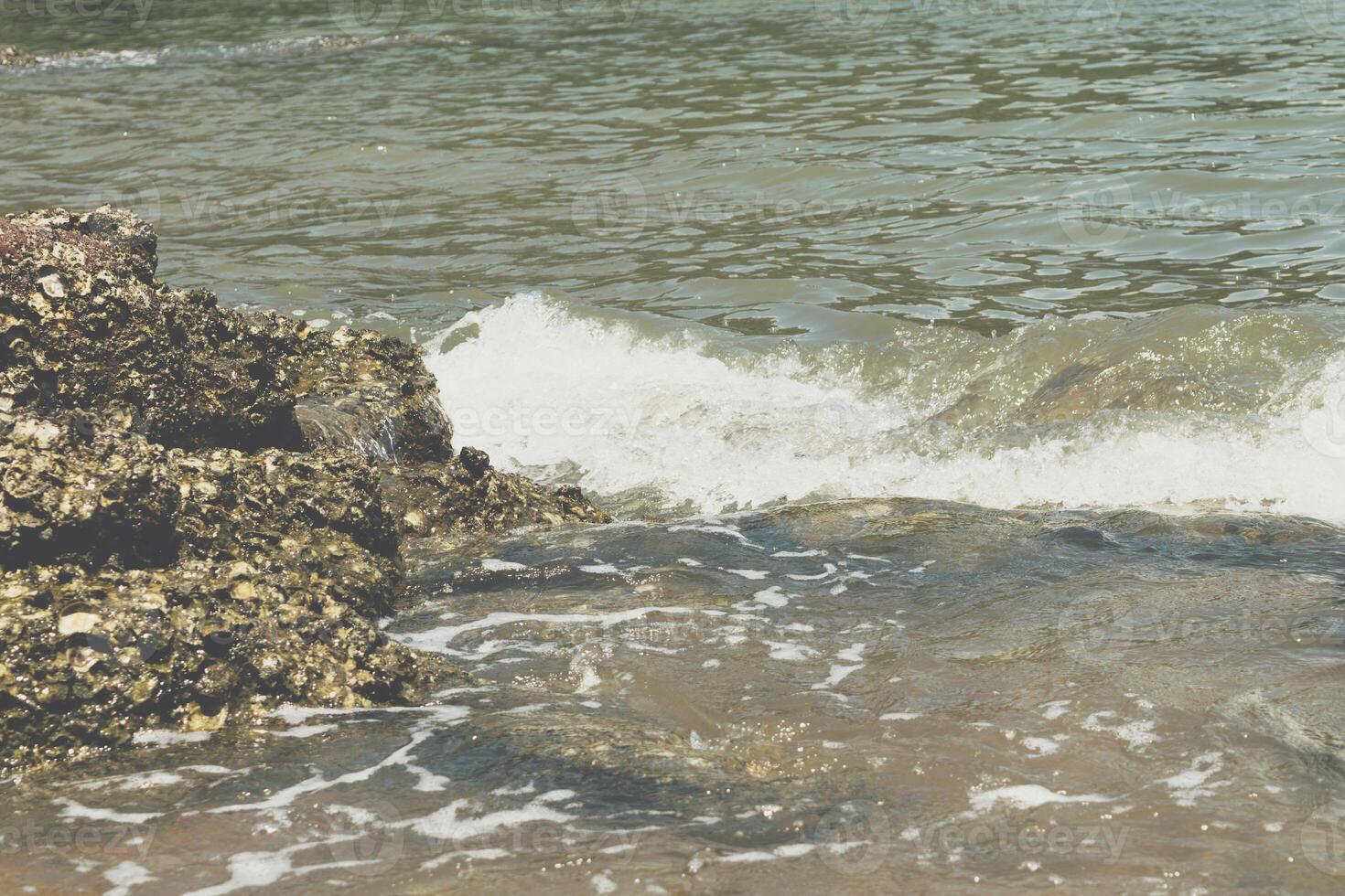 A person on a surfboard riding a wave in the ocean photo