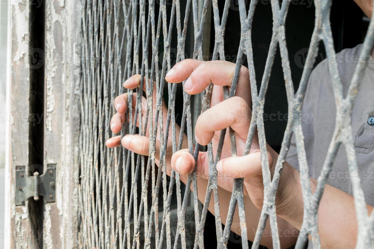 A person holding onto the bars of a cage photo