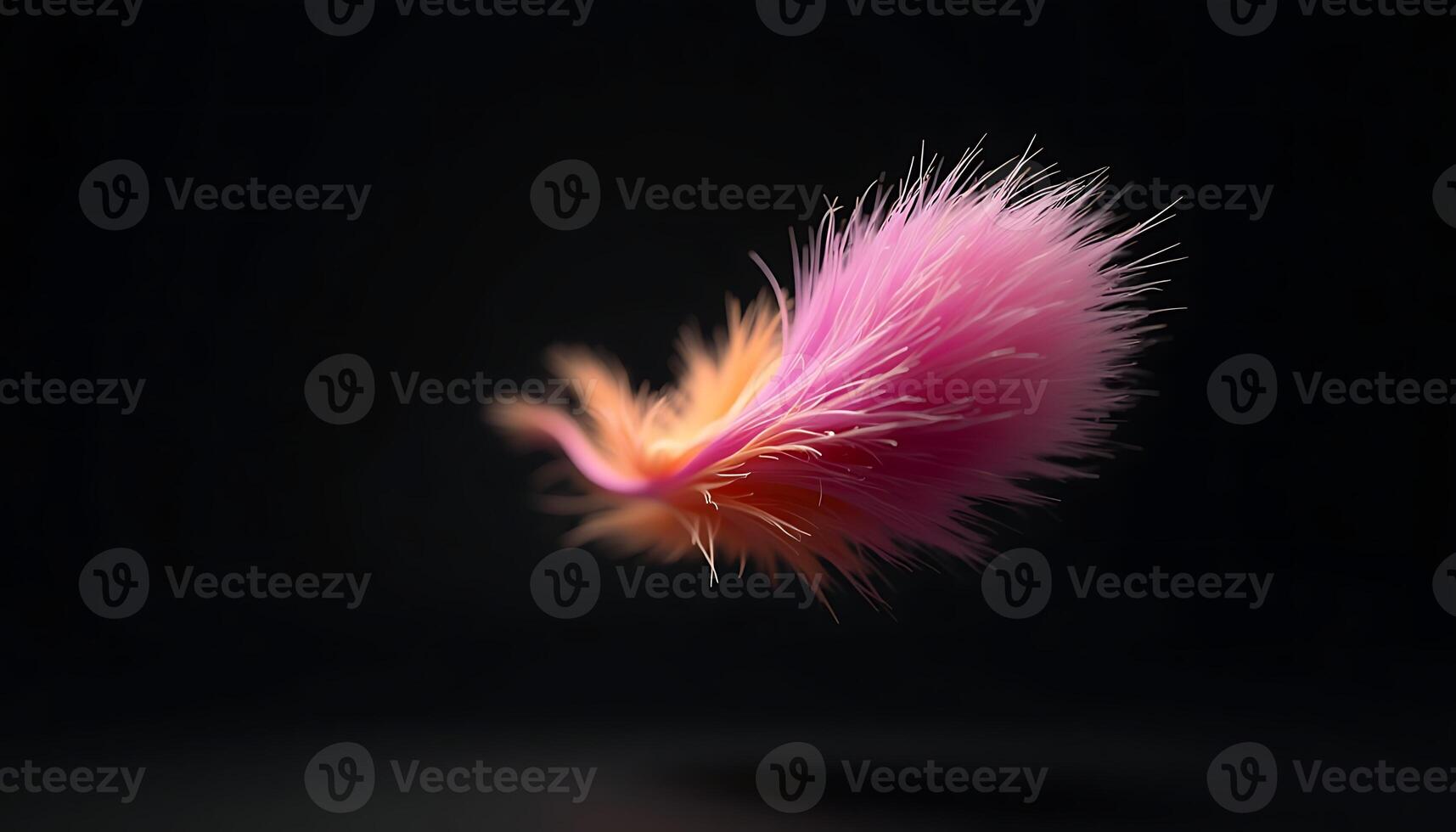 Floating Colorful Feather Against a Dark Background in a Soft Style photo