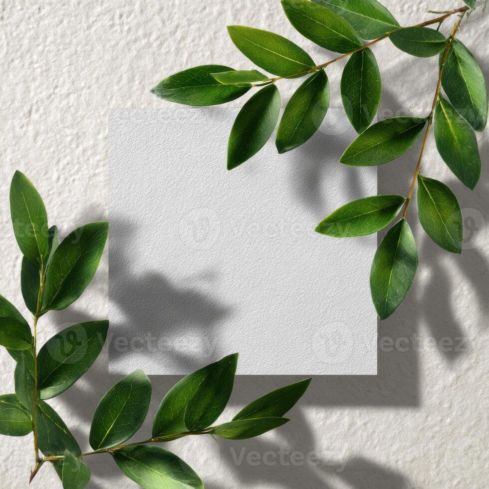 A blank piece of paper surrounded by green leaves photo