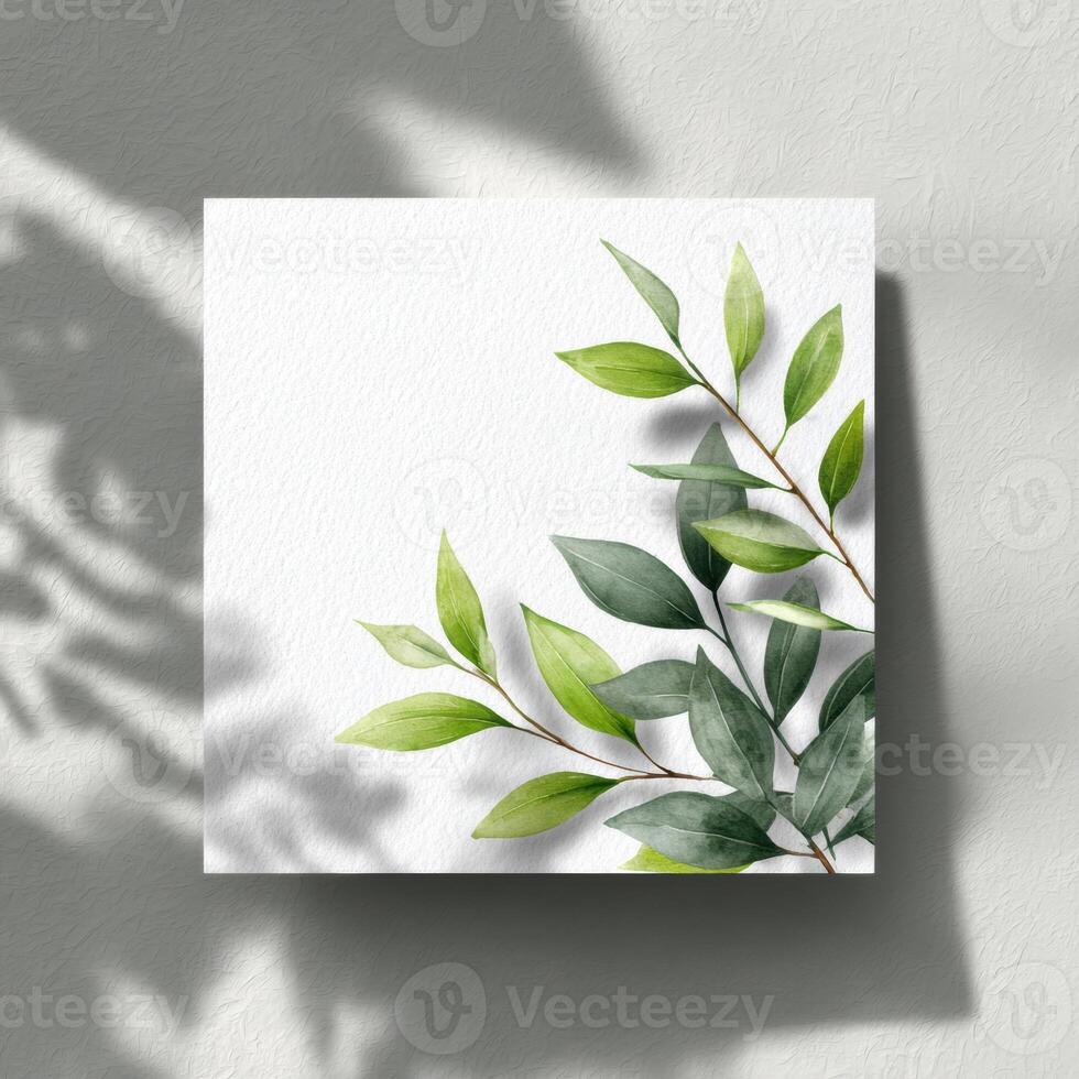 A white square with green leaves on it photo