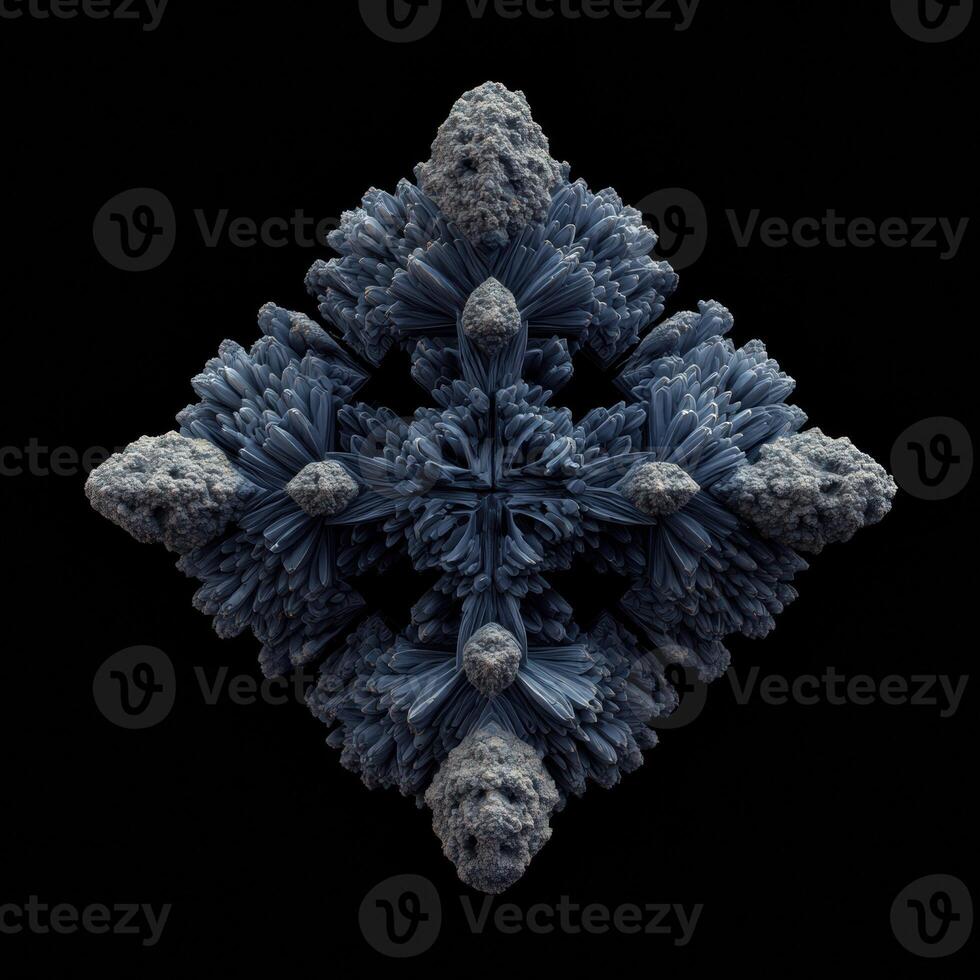 flower black in the water photo