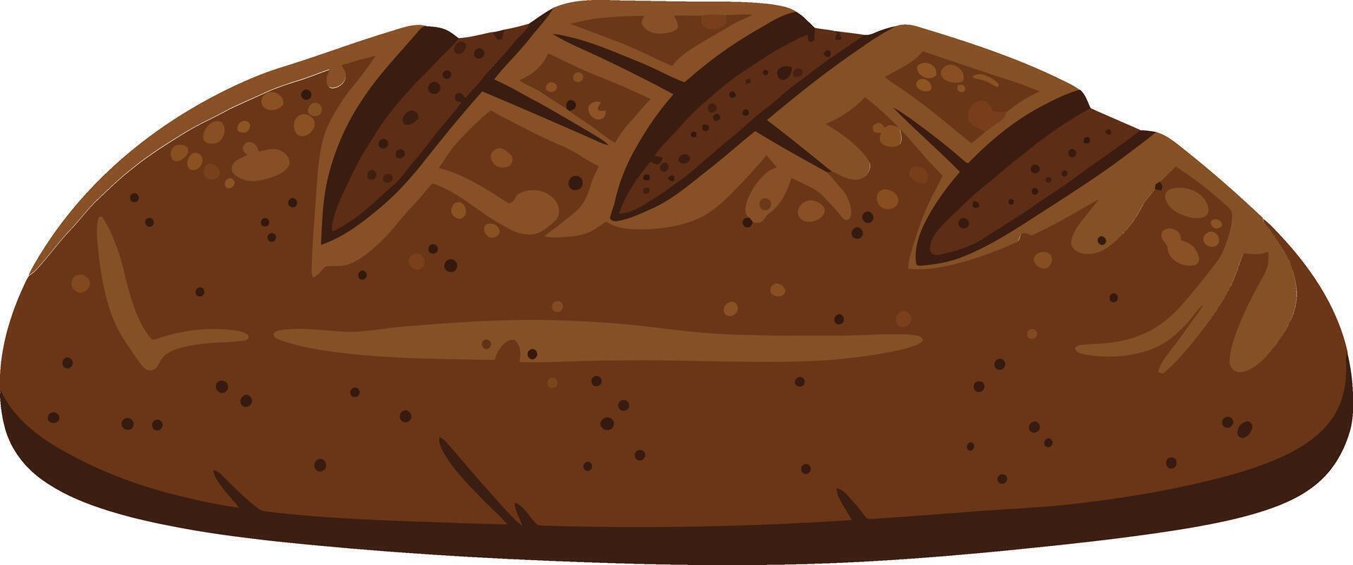 Freshly baked artisan brown bread loaf with crusty texture and rustic appearance perfect for breakfast or snack vector