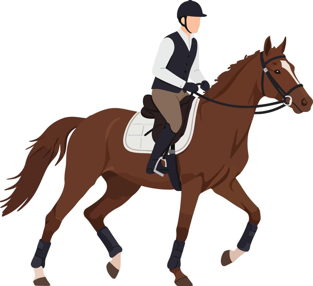 Equestrian rider on galloping brown horse with full riding gear and helmet in active motion vector