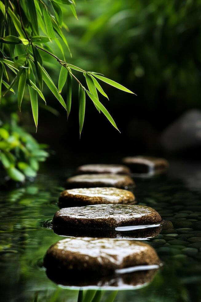 Stones Create a Tranquil Path Through a Serene Water Feature in a Lush Garden Setting photo