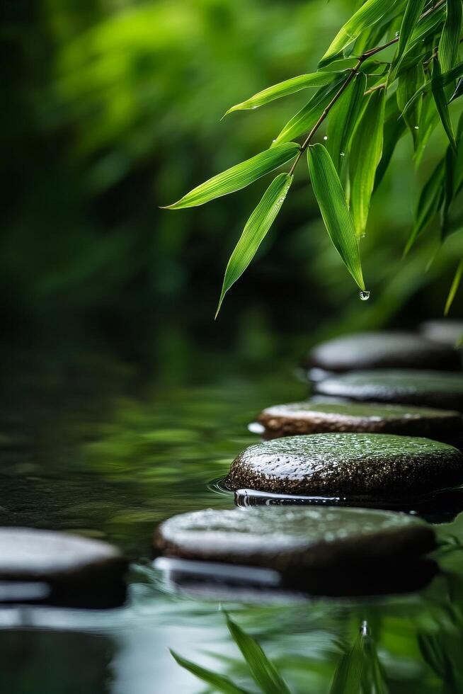 Serene Bamboo Leaves Framed by Stepping Stones Over Tranquil Water on a Calm Day photo