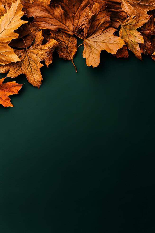 Colorful Autumn Leaves Arranged on a Dark Green Surface Creating a Seasonal Atmosphere photo
