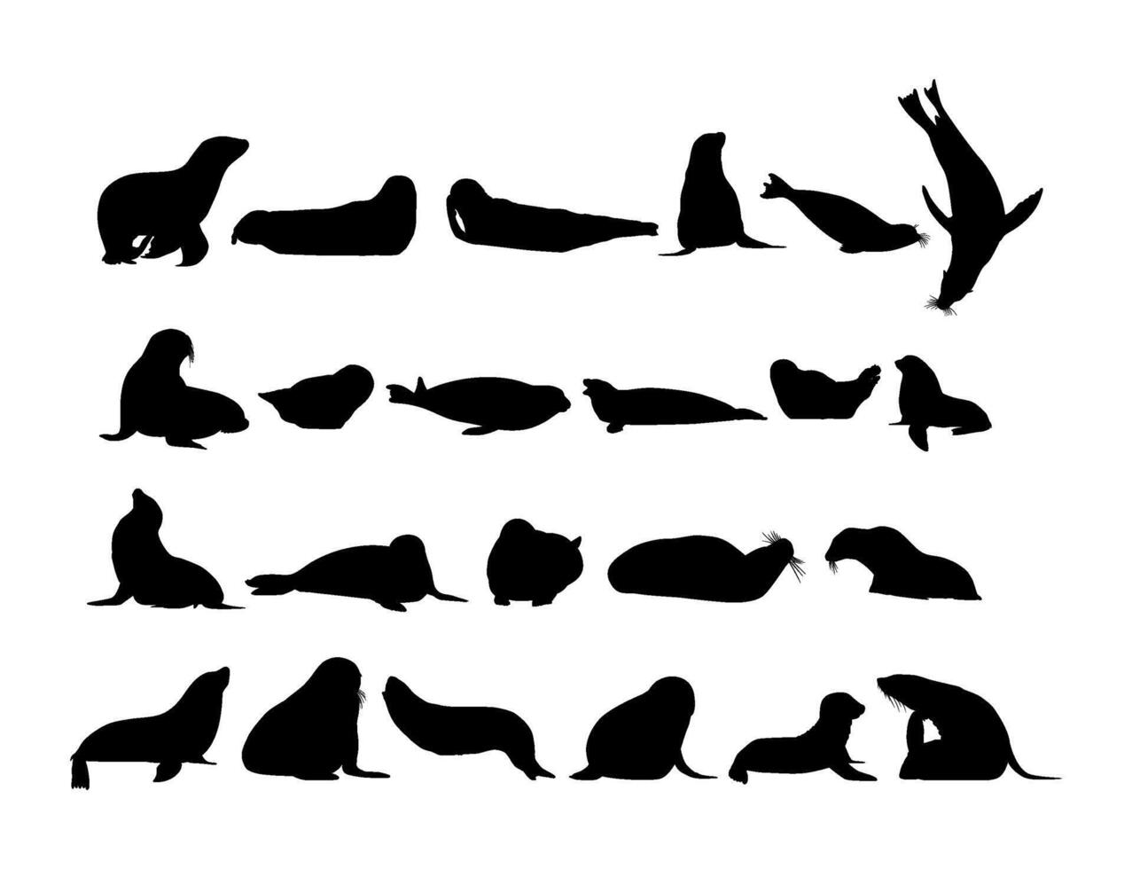 Pinnipeds or Seals Group Silhouette, can use for Logo, Pictogram, Aquatic Animal, Poster or Graphic Design Element. vector
