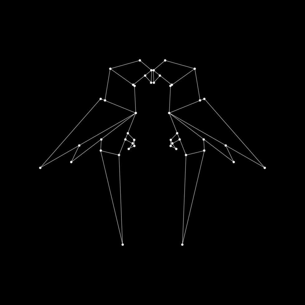 Pair Macaw, Ara, Parrot Polygonal Lines, can use for Logo Gram, Pictogram, Bird Figure, Website, Apps, or Graphic Design Element. BW, Flat and Editable vector