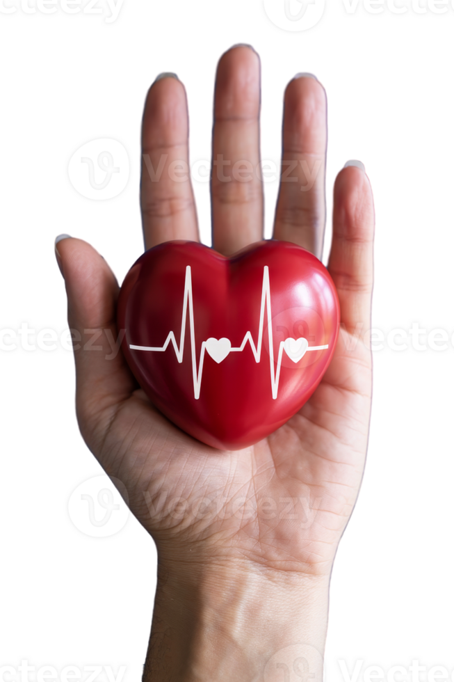 Hands embrace a red heart symbolizing love, health, and vitality against a transparent background png