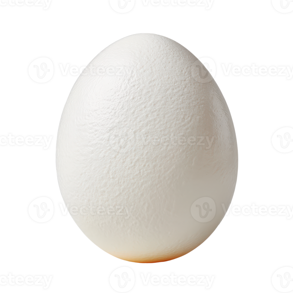 White Egg on a Solid Background for Culinary or Natural Themes png