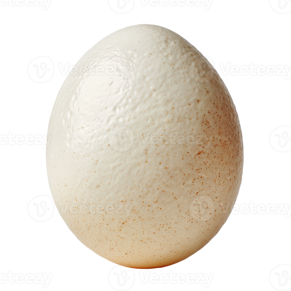 Close-Up of a Smooth White Egg Isolated on a Clean Background png