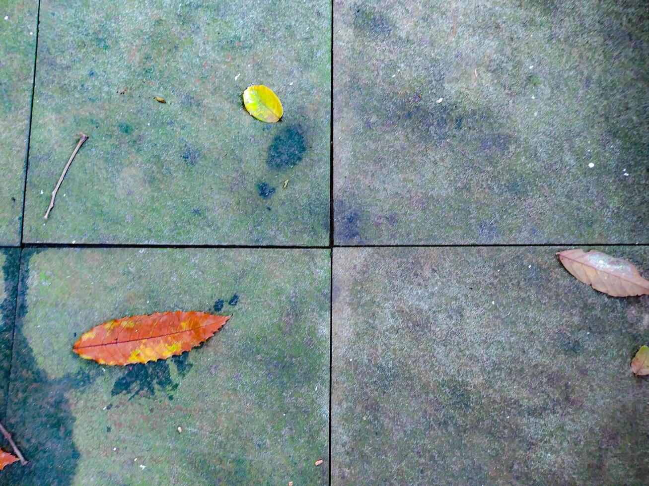Autumnal Stone Tiles A Serene Minimalist Composition photo