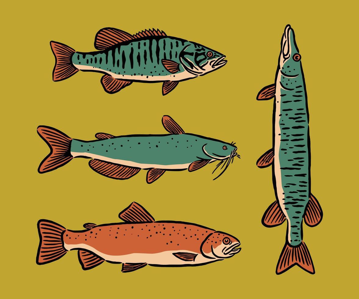 Illustration of four different fish vector