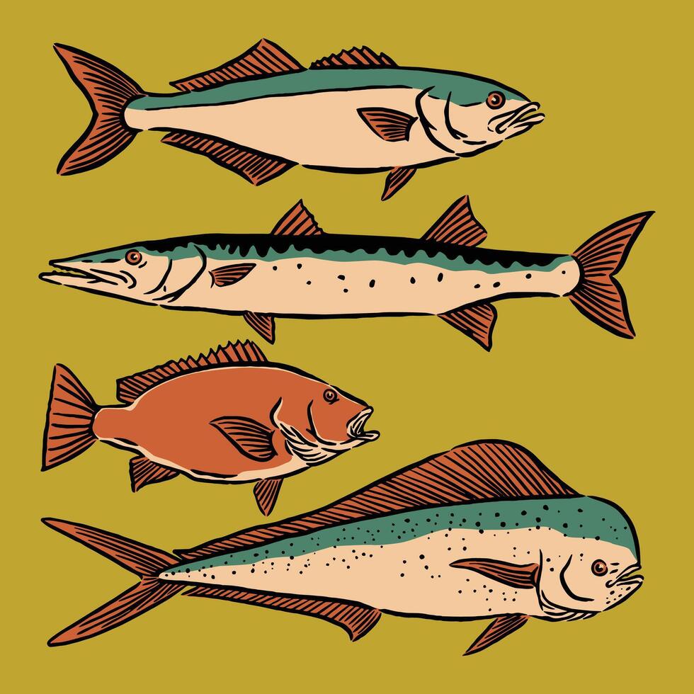 Colorful illustrations of different fish vector
